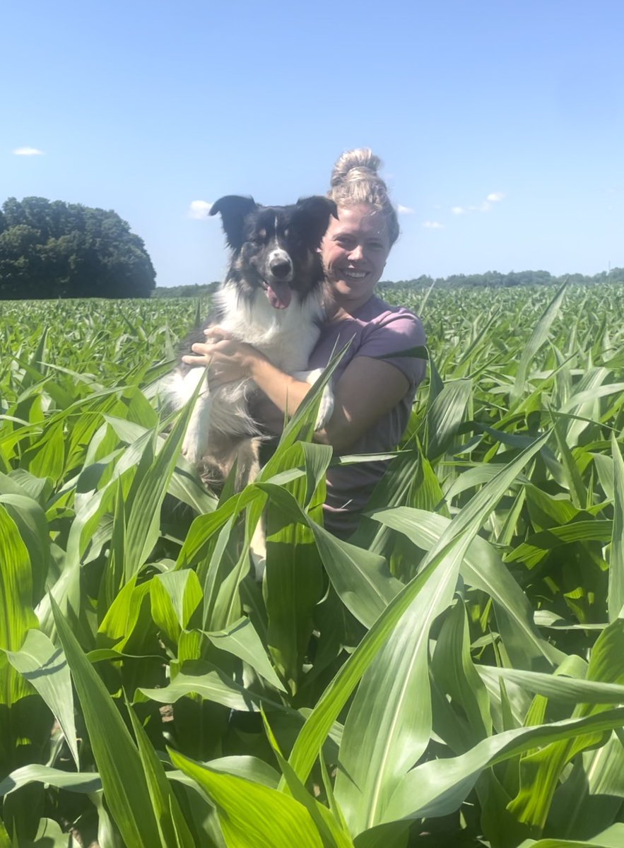 We won’t show you my dads crops on the clay ground….

We’ll just stick to the good old sandy ground, corn that’s ‘knee high by the 1st of July’ 🇨🇦🌽

#plant24 #spring24 #cdnag #ontag #CanadaDay
