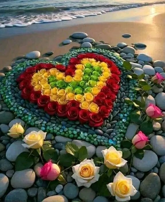 اسلام علیکم

*علم ایک درخت ہے الفاظ اس کے پتے ہیں عمل اس کا پھل ہے*