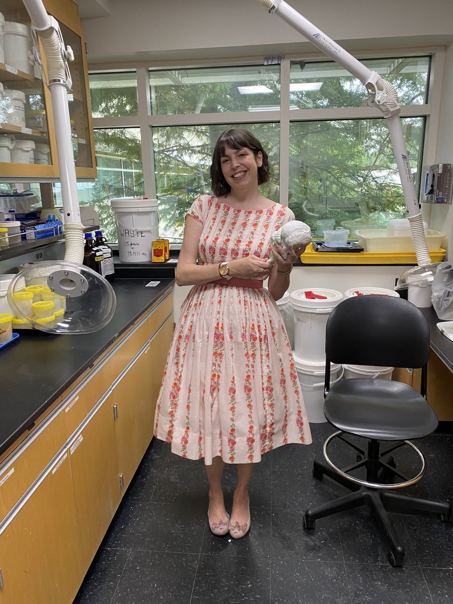 Dr Alice C loves lungfish (she/her) tweet media