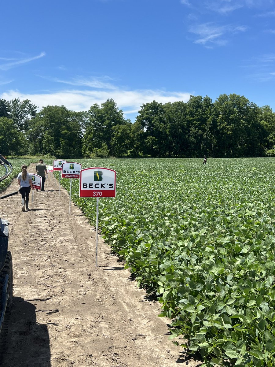 It’s all hands on deck today - we’re out in the fields putting up signs on each of our plots! Perfect weather for it! ☀️