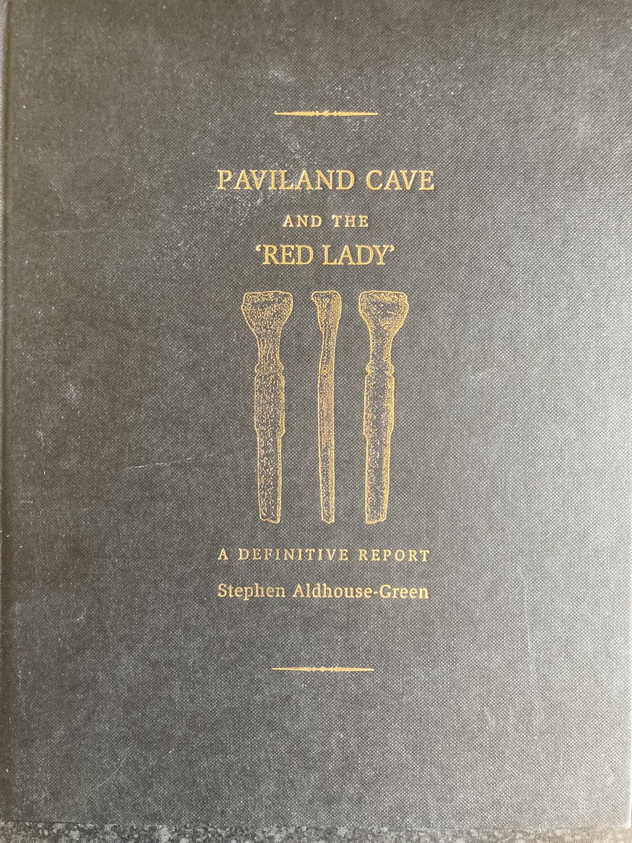 PavilandFutures's tweet photo. A magnificent book encompassing everything about the Red Lady by archaeologist Stephen Aldhouse-Green, with a foreword by Rhodri Morgan, the then First Minister. https://t.co/Xo9r2OkpJm