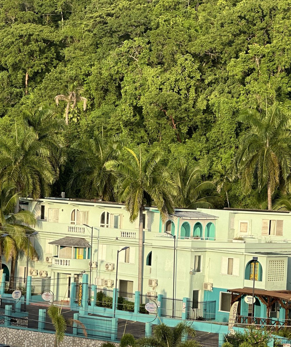 amishasarkarr's tweet photo. montego bay https://t.co/2Ro43Xa6Pr