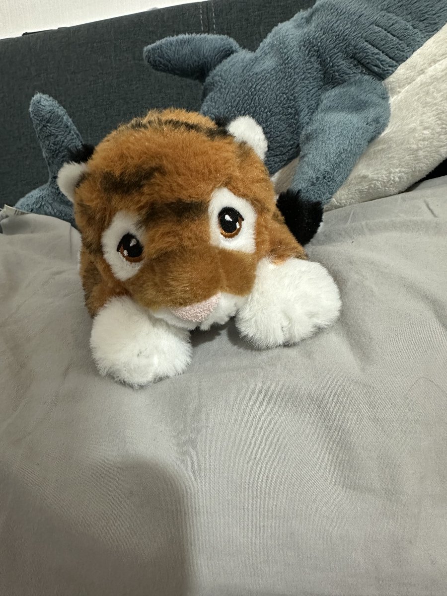 Everybody meet Jackal, the latest member of the family 🥰🥰