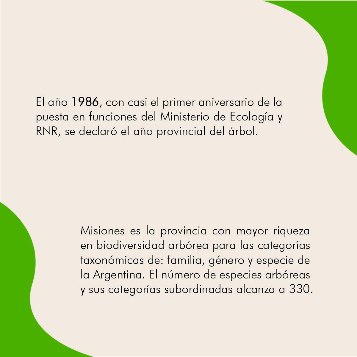 EstacionVia's tweet photo. 🌳🌿 ¡Hoy celebramos el Día del Árbol Misionero! 🌿🌳

Este día nos recuerda la importancia de preservar y cuidar nuestra biodiversidad única y pulmón verde esencial para nuestro planeta.
@passalacquaok @gobmisiones https://t.co/0zkEEFYQ87