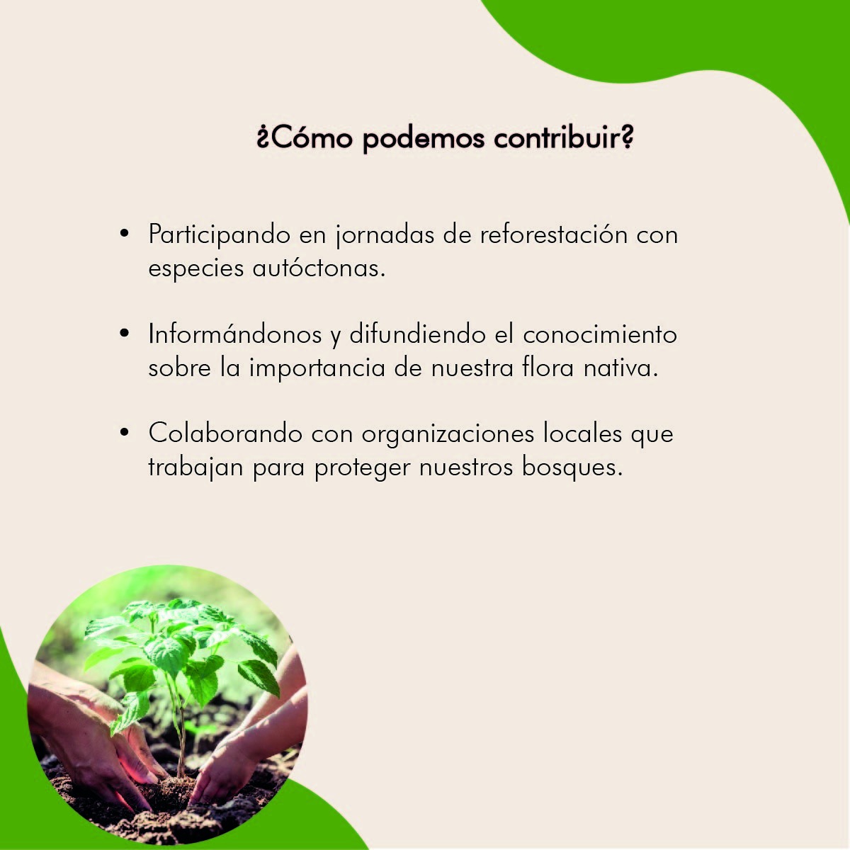 EstacionVia's tweet photo. 🌳🌿 ¡Hoy celebramos el Día del Árbol Misionero! 🌿🌳

Este día nos recuerda la importancia de preservar y cuidar nuestra biodiversidad única y pulmón verde esencial para nuestro planeta.
@passalacquaok @gobmisiones https://t.co/0zkEEFYQ87