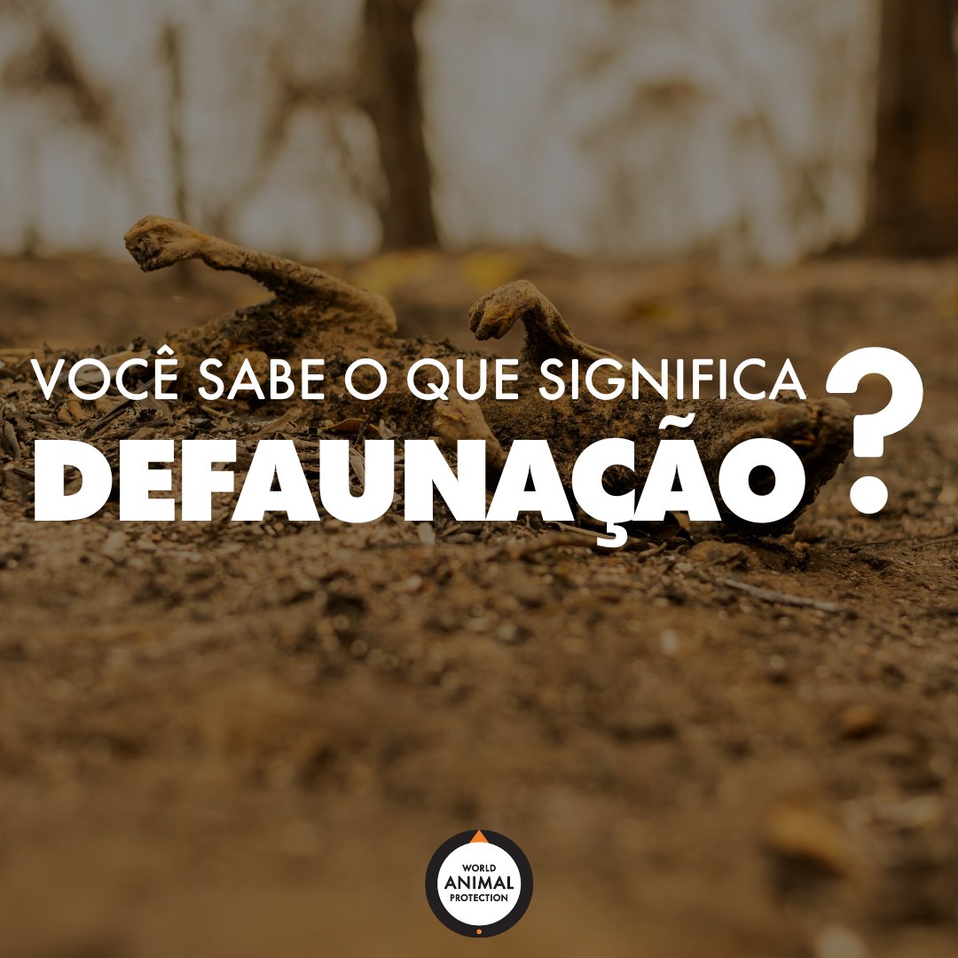 ProtecaoAnimal's tweet image. 💡 Você já ouviu falar em Defaunação? 🤔

🔥 Defaunação é a perda de espécies animais em seus habitats naturais de forma acelerada, como consequência de ações humanas. 💔