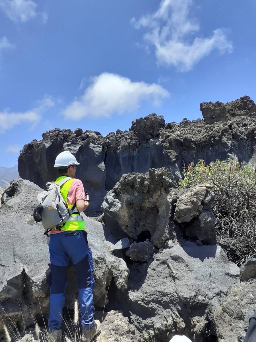 Peter.t.Lunt tweet media