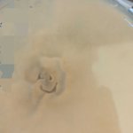 Photo by Sattely_lab sattelylab.bsky.social (@Sattely_lab)