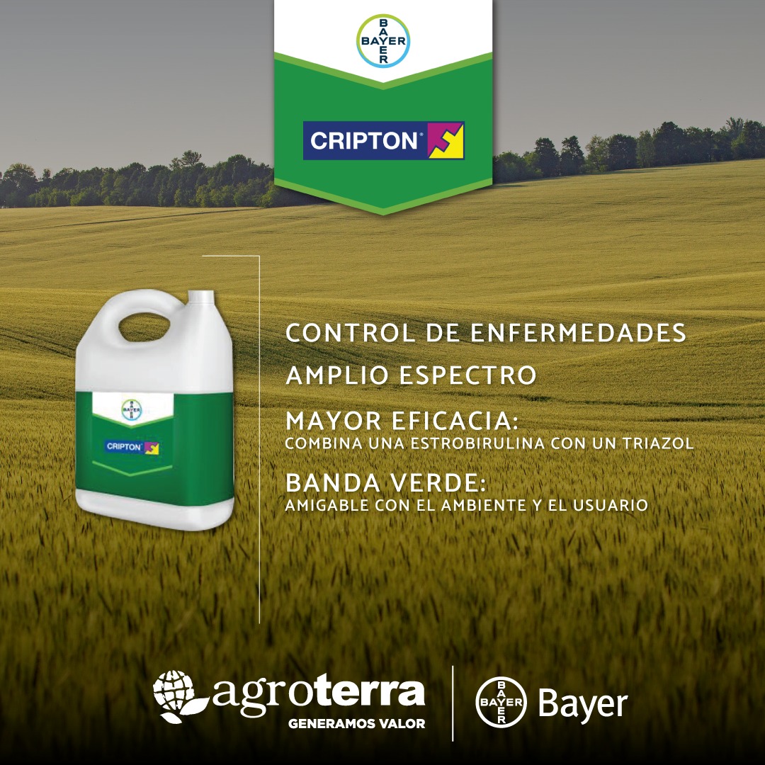 Descubrí Cripton, tu aliado en la protección de cultivos.

Este poderoso fungicida ofrece un control superior de enfermedades gracias a su amplio espectro de acción.  

Está dentro de la banda verde, lo que significa que es amigable con el ambiente y seguro para el usuario. 
🤝🌾