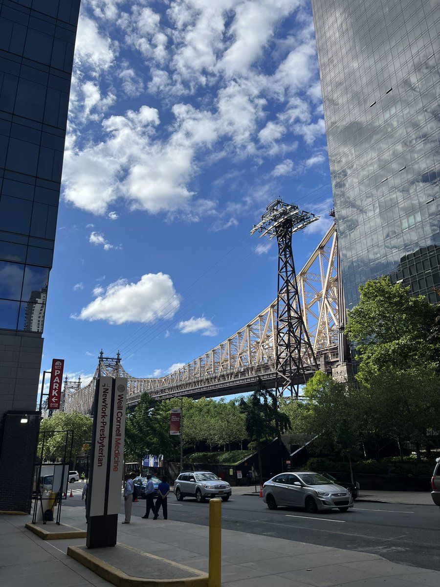 vivianbyeon's tweet image. PhD Year 6, Day 1: Starting internship at @WeillCornell!!!