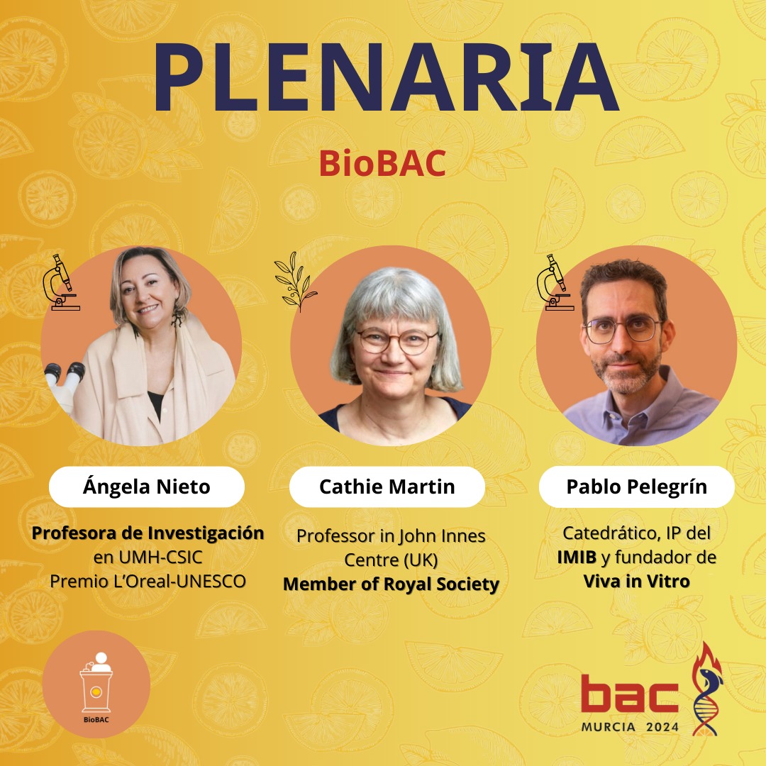 BiotecMur tweet media