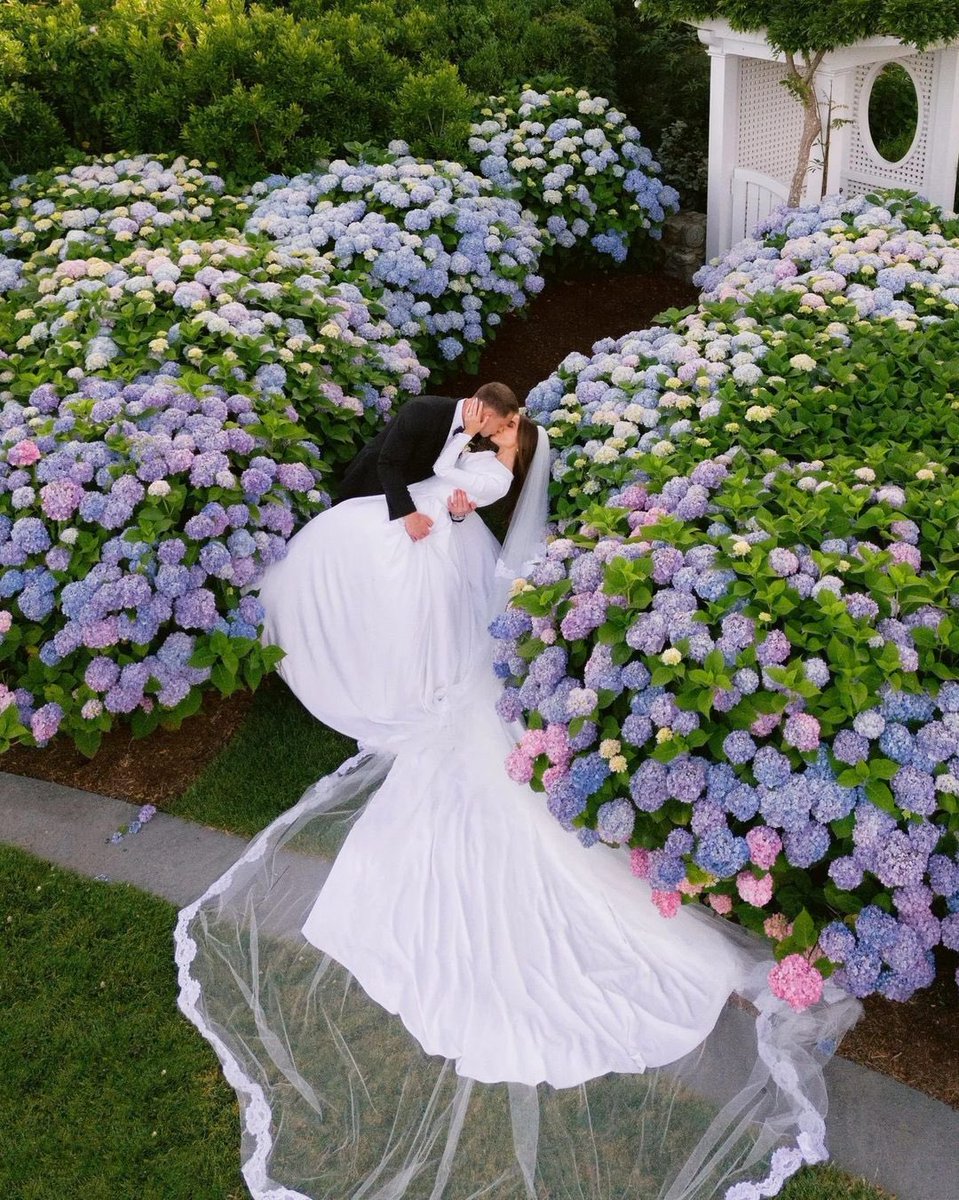 49ersSportsTalk's tweet photo. Officially official… MARRIED 😍

Congratulations Christian McCaffrey &amp; Olivia Culpo on your wedding! 💍🎊 

@CMC_22 looking to get two rings this year. #FTTB #49ers #Niners https://t.co/7h1qb24bOv
