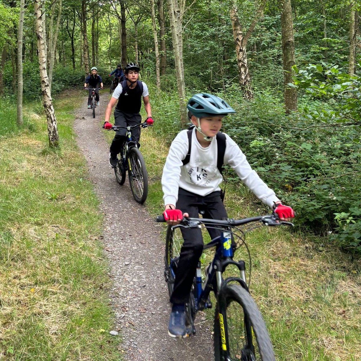 Milbourne Lodge Trips tweet media