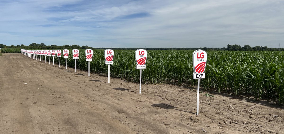 <a href="/LGSeeds/">LG Seeds</a> Dealer <a href="/RushCreekSeed/">Rush Creek Seed</a> plot is ready to go. Excited to see what the class of 2024/2025 can do vs the competition.