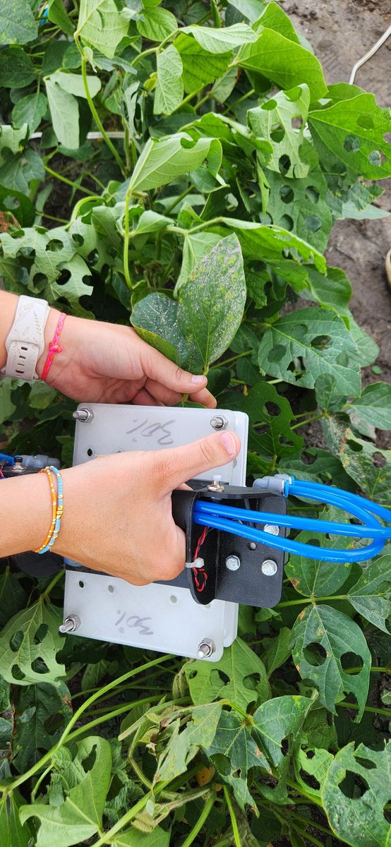 Jeremy Greene tweet media