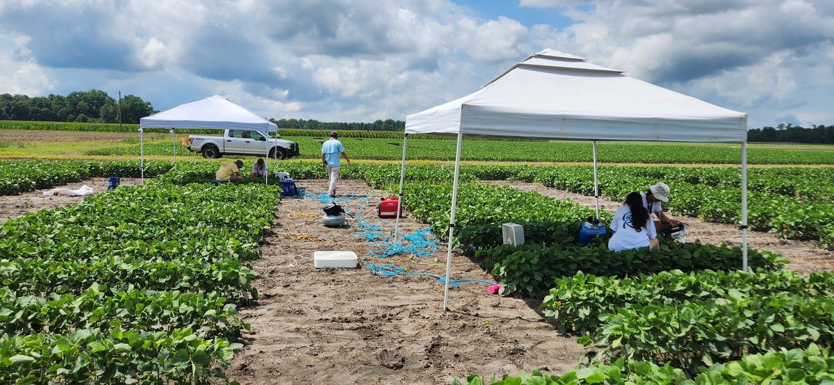 Jeremy Greene tweet media