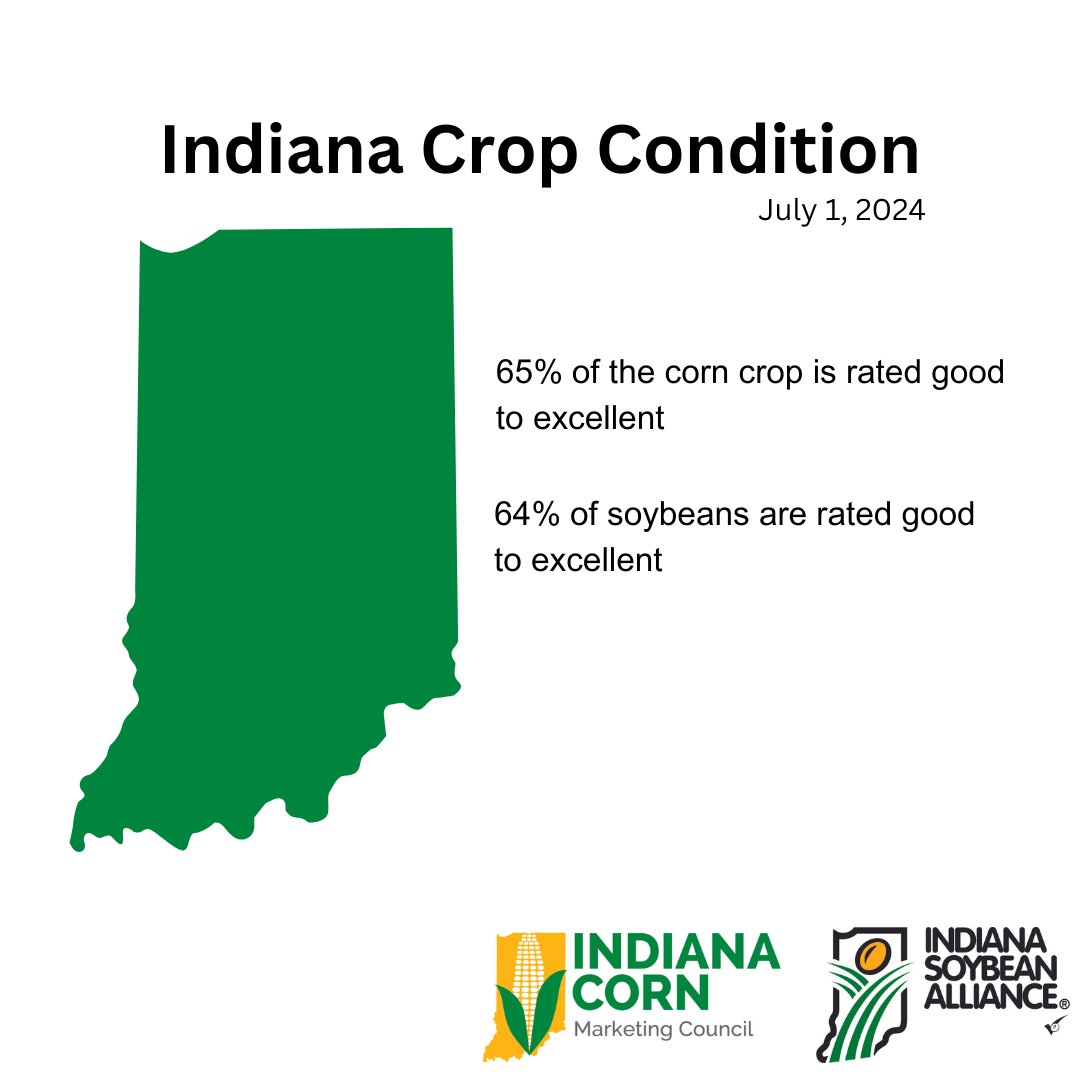 INSoybean's tweet image. The @USDAgov says much-needed rainfall combined with cooler weather alleviated dry conditions across much of Indiana last week. 

#cropprogress #grow24 #USDA #soybeans #soycheckoff