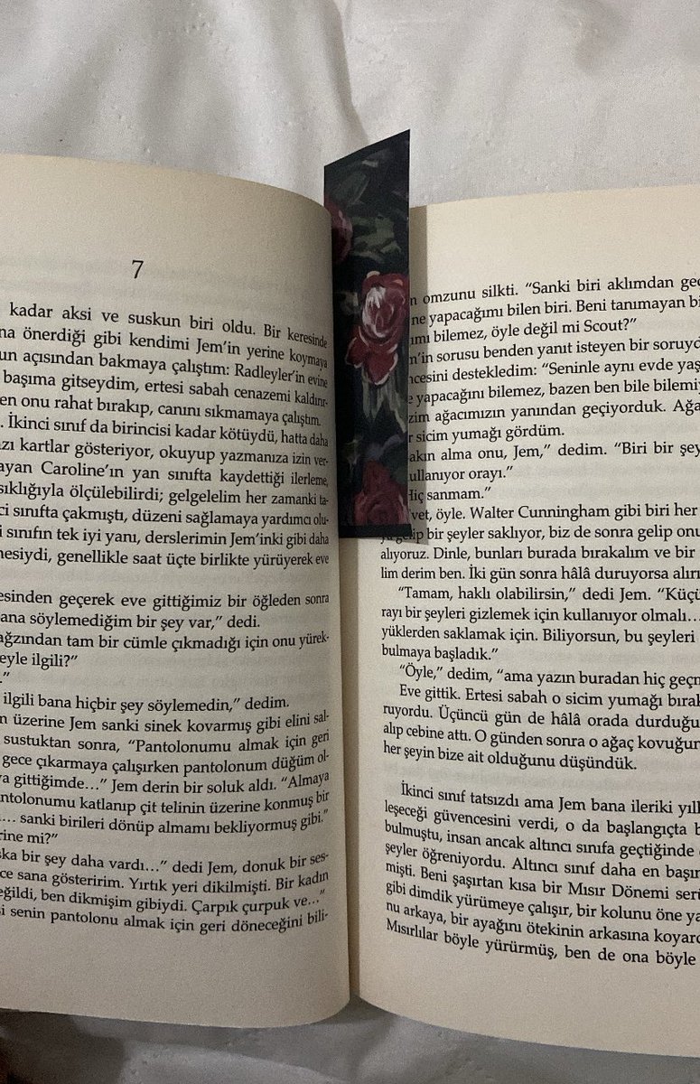 agül tweet media