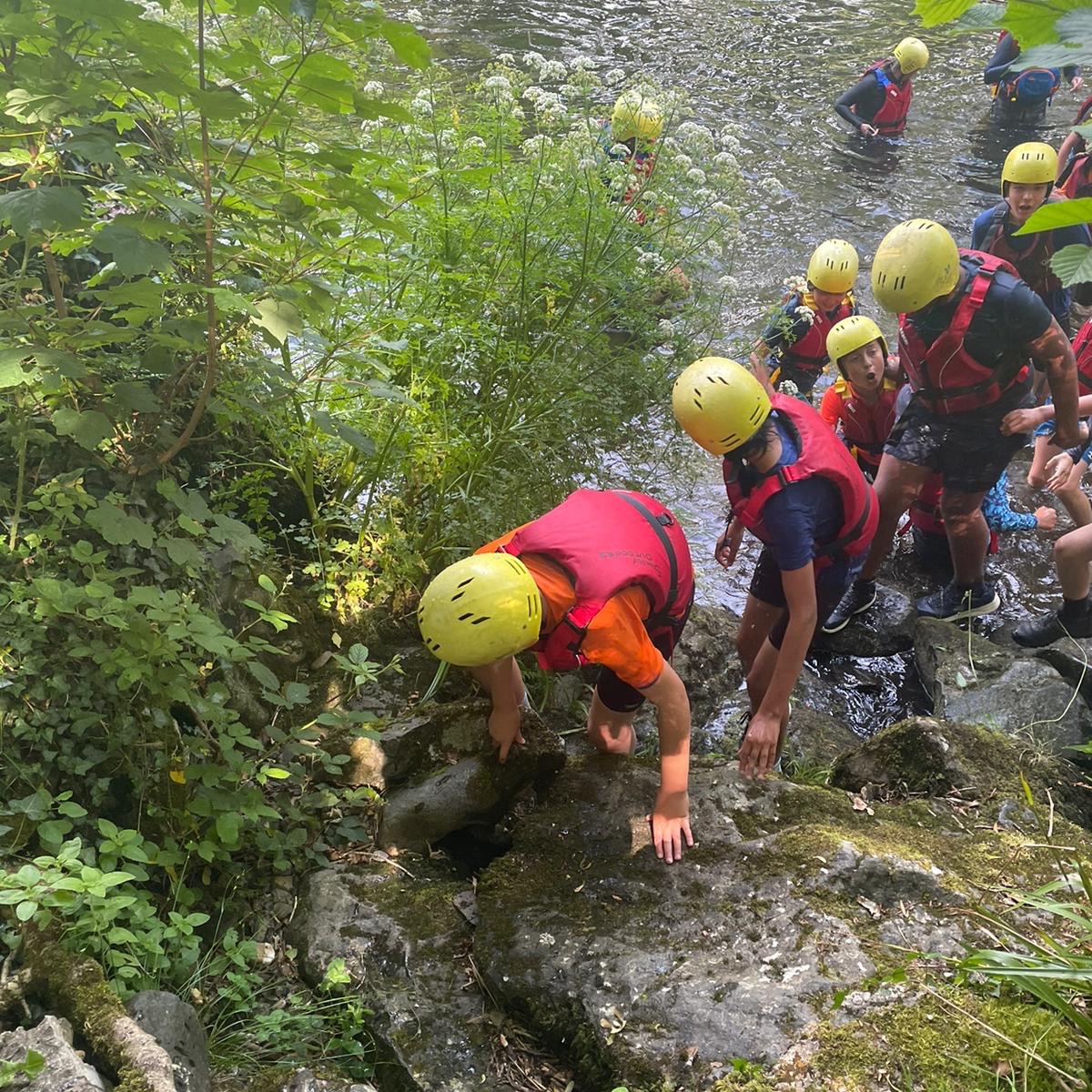 Milbourne Lodge Trips tweet media