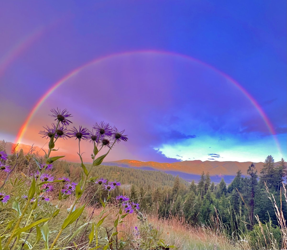 okay and again last night 😭✨