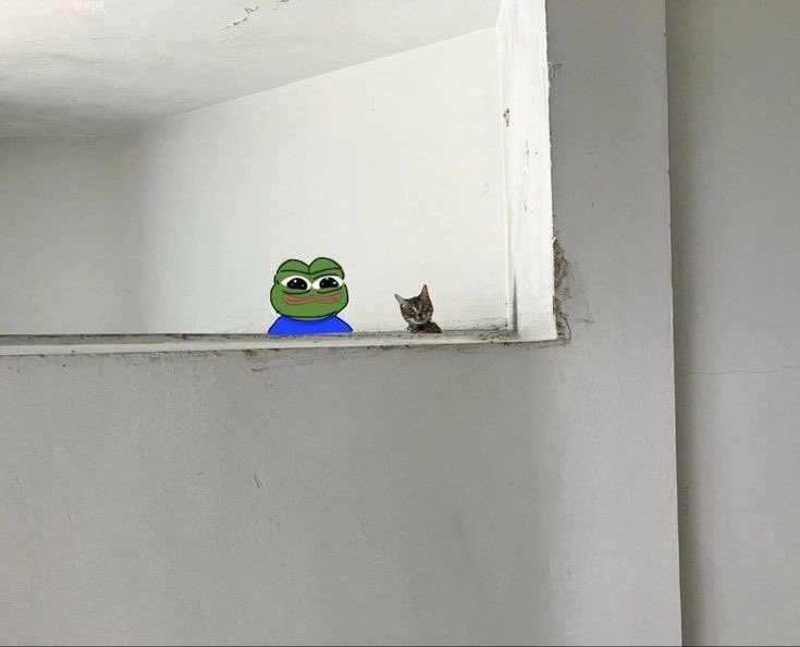 Baby Pepe tweet media