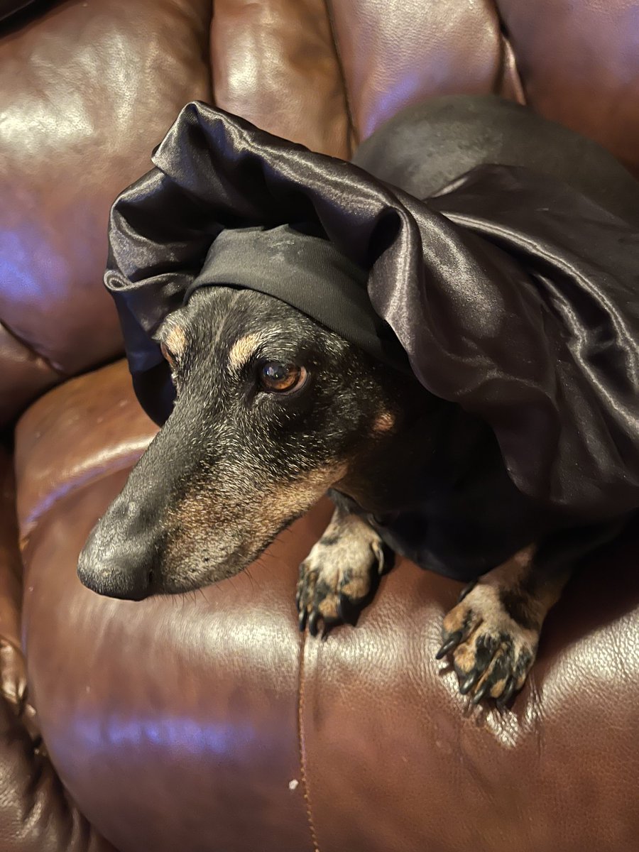 TheOnlyRileigh's tweet photo. guys stream will be at 10:30/11:00 pm cdt and will probably be a long stream since we are rank grinding. stop by to chat i love talking to chat it’s my favorite thing. 💕 link is in bio. peep doggy in the bonnet. ✨
#valtwt #twitch #streamer #ranked #valorant #dog https://t.co/ozGTSHPwtg