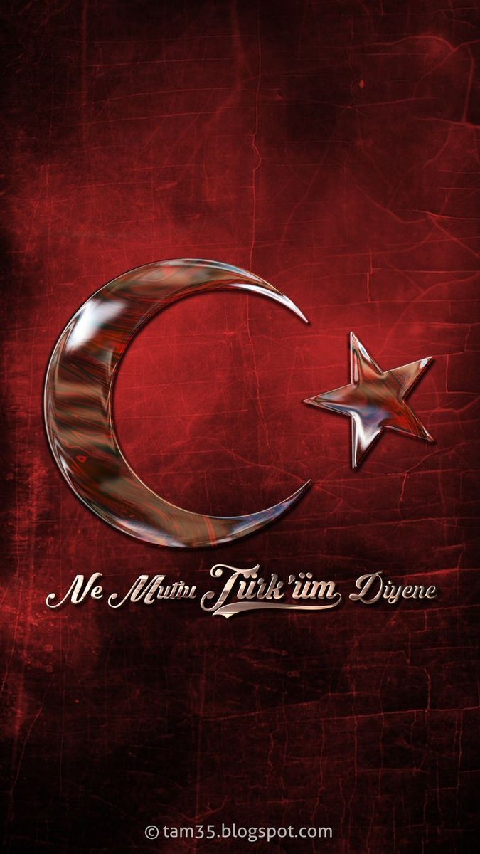 PITT74BULL tweet media