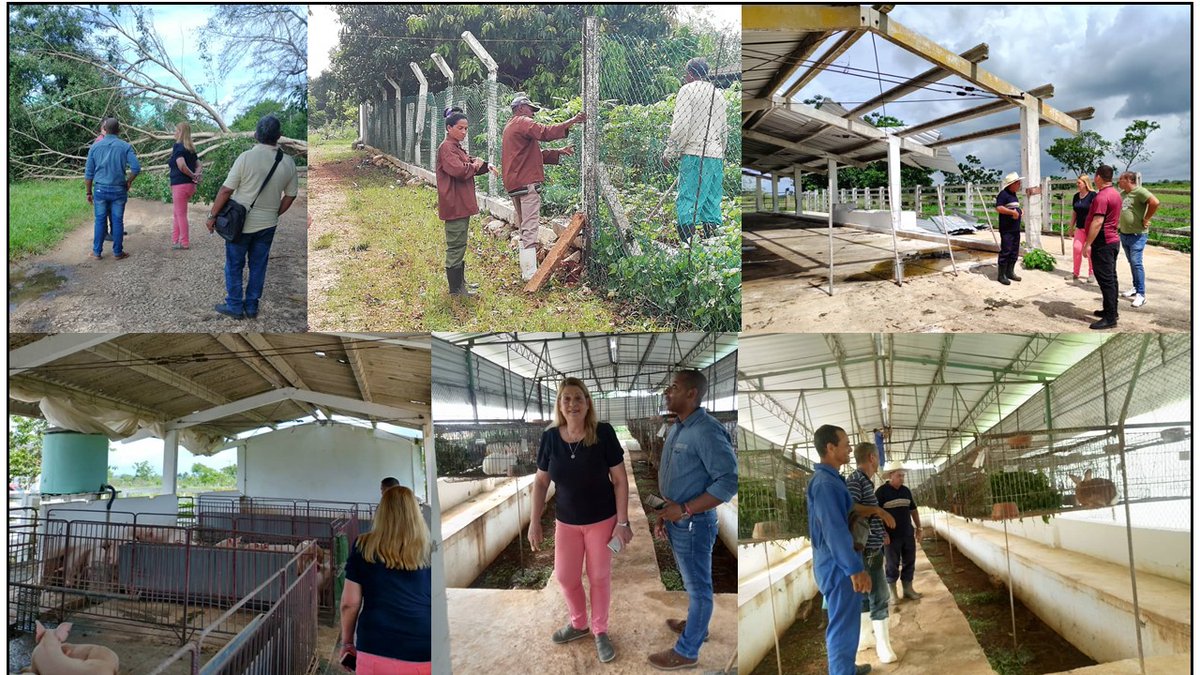 Alicia Alonso Becerra (@aab_cuba) on Twitter photo Los trabajadores de La Granja “El Guayabal”, <a href="/UNAH_Cuba/">Universidad Agraria de La Habana - UNAH</a>, laboran en la recuperación de las afectaciones provocadas por una tormenta local severa ocurrida en la madrugada del domingo. Excelente colectivo que enfrenta las dificultades y continúa avanzando.
<a href="/CubaMES/">MES</a> <a href="/WalterBG_MES/">Walter Baluja García</a> Los trabajadores de La Granja “El Guayabal”, <a href="/UNAH_Cuba/">Universidad Agraria de La Habana - UNAH</a>, laboran en la recuperación de las afectaciones provocadas por una tormenta local severa ocurrida en la madrugada del domingo. Excelente colectivo que enfrenta las dificultades y continúa avanzando.
<a href="/CubaMES/">MES</a> <a href="/WalterBG_MES/">Walter Baluja García</a>