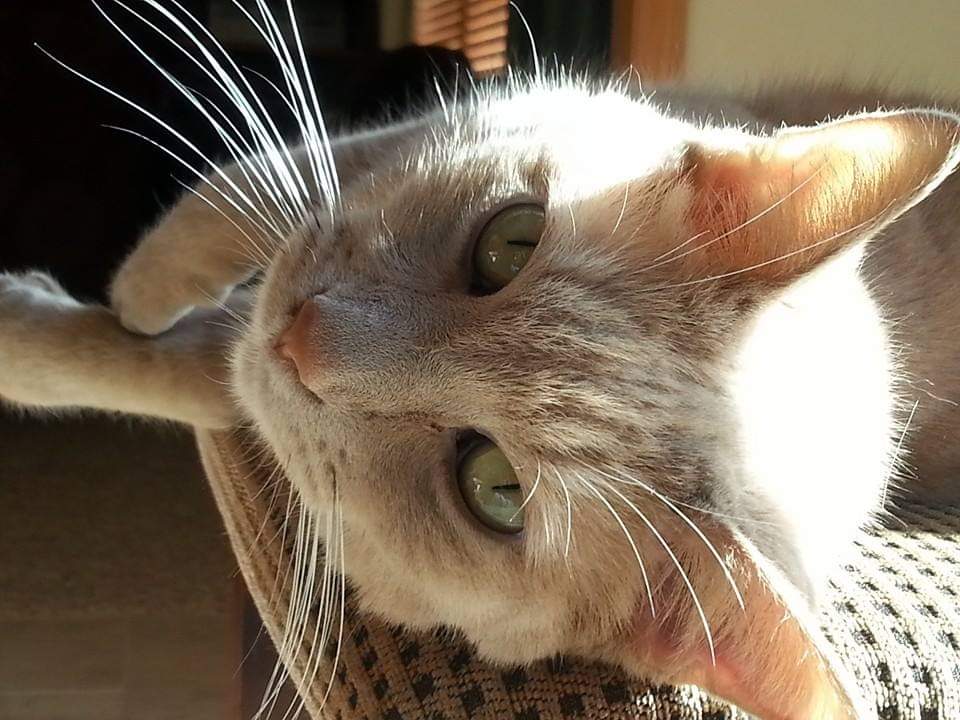 DebbieTri tweet media