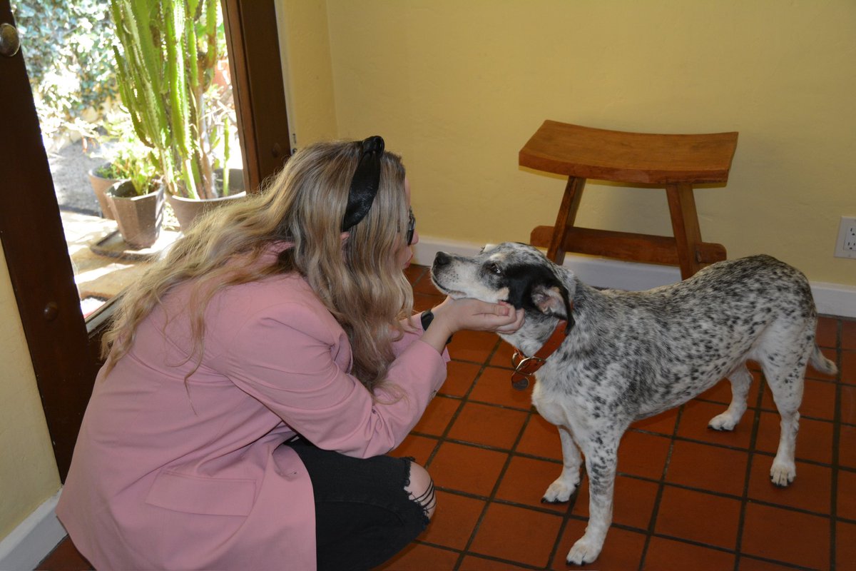 Sophie Rae Lichterman tweet media