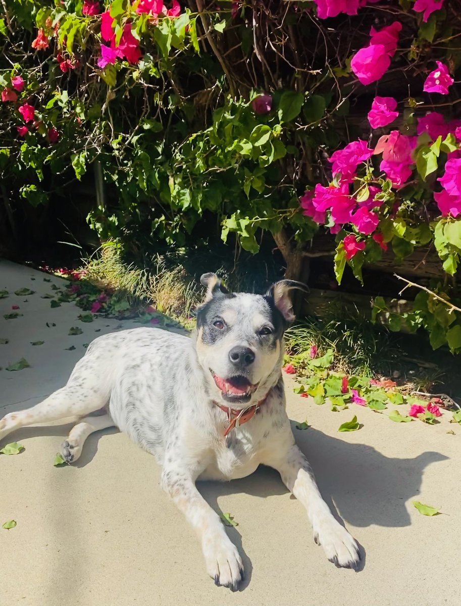 Sophie Rae Lichterman tweet media