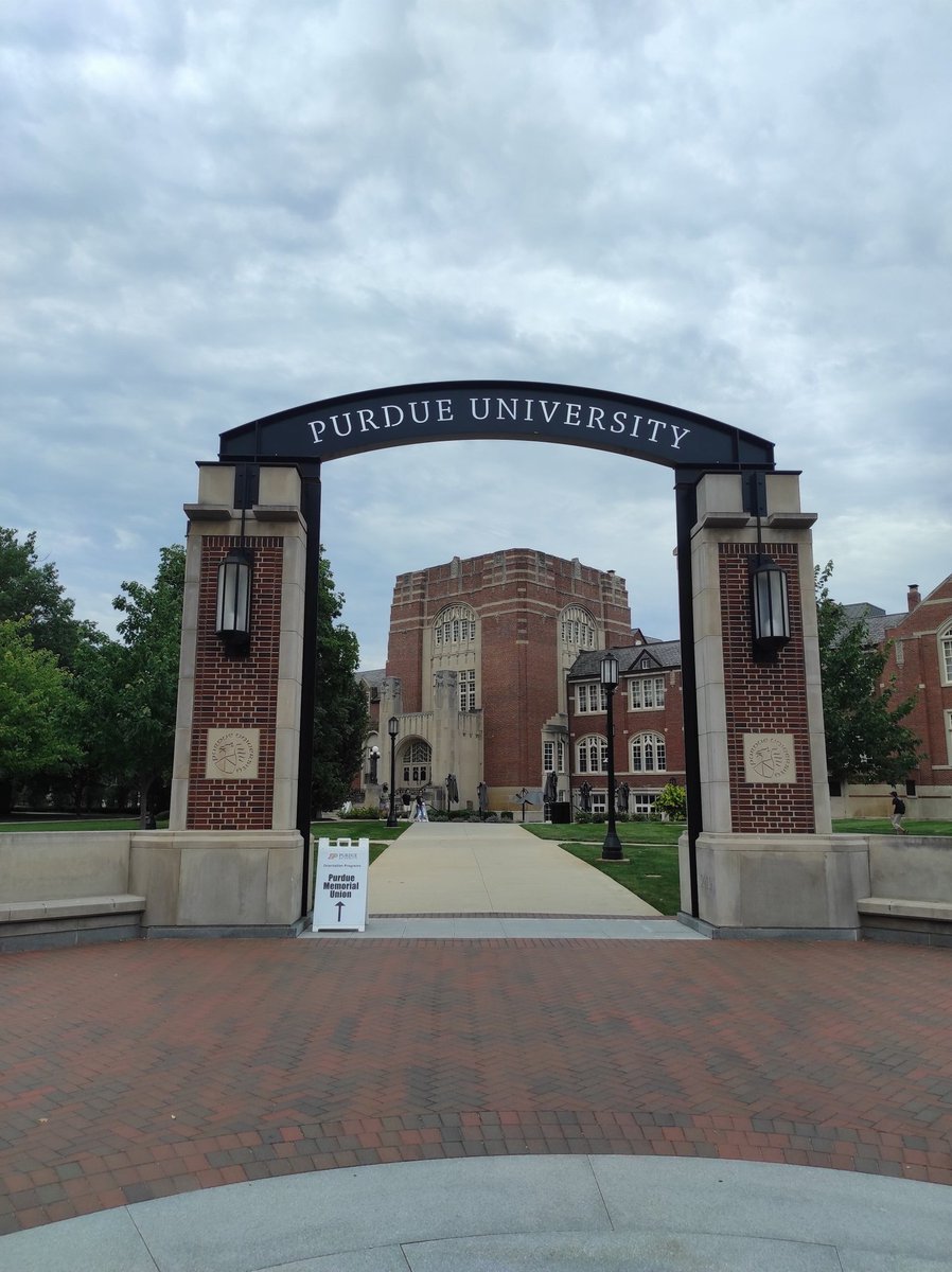 Manuel Bellucci tweet media