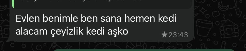 Rmysaaygnn's tweet photo. Ben senden razıyım sevgilim kedi olmasa da olur 😚 https://t.co/Ih3ieezv8S