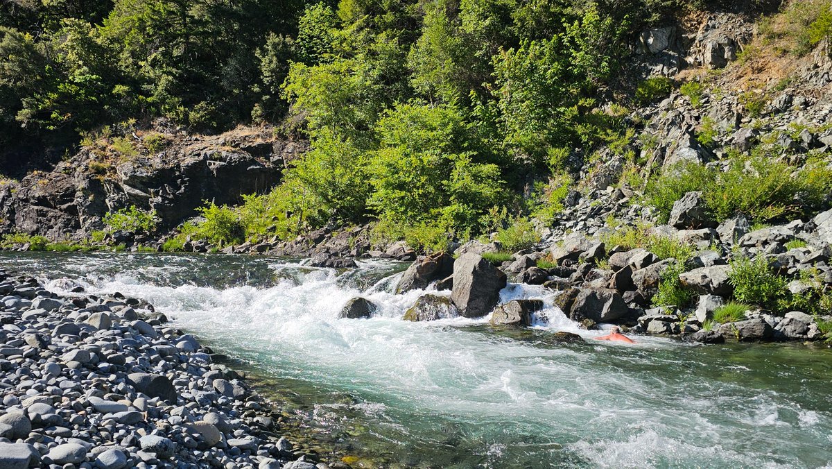 OregonMomma's tweet image. This place will always be in my heart ❤️ 
My Love &amp;amp; I often meet here for the day, during the summer for picnicking. 

#DayTrippin
#SmithRiver
#NorCal 
#DayDatesAreTheBest
#MiddleOfNowhere