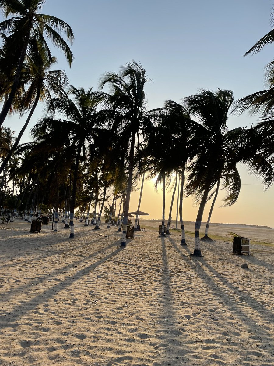 IsabellaSMora's tweet photo. Solo tú me haces tan feliz. Te amo mi Guajira🧡 https://t.co/8InQIcurqY
