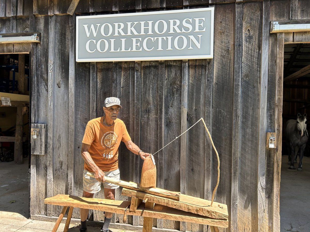 Lynne Avdellas tweet media