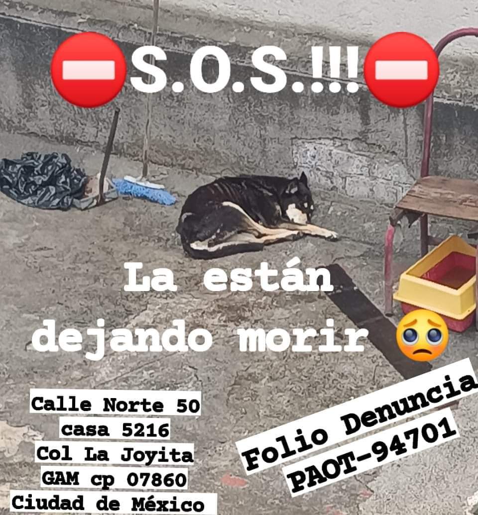 DIMEXPLAY 🇲🇽 tweet media