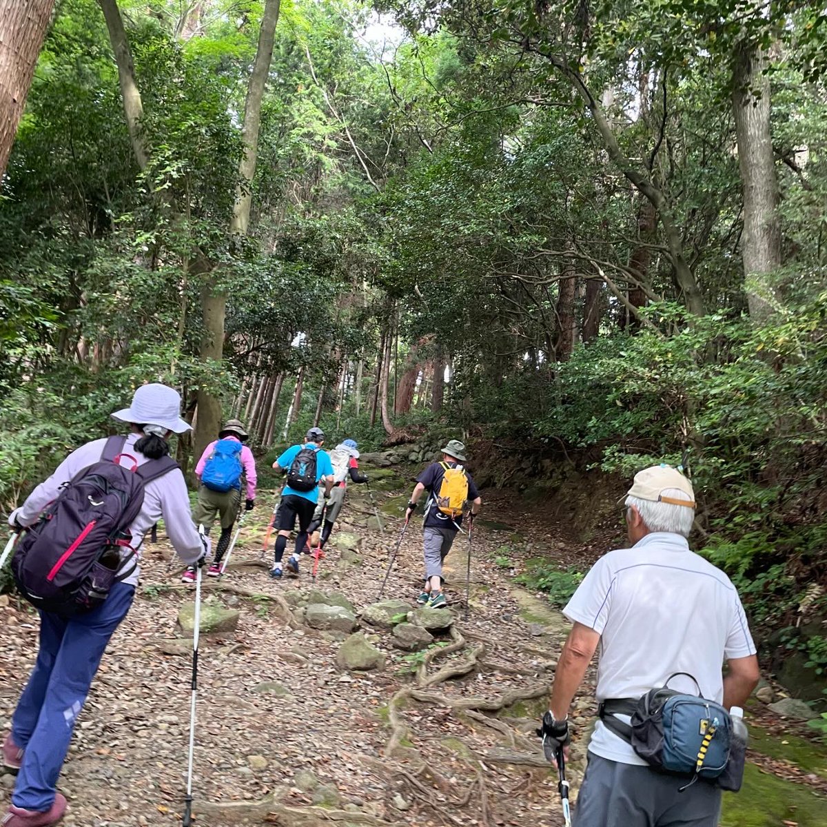 norumatsu's tweet photo. 港町塩竈でトレッキング気分⛰️
奥州一之宮鹽竈神社に通じる参道のひとつ
「七曲坂」 https://t.co/zyo0fynV3q
