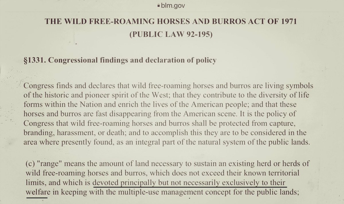Blueequus775's tweet photo. .@SenWhitehouse @RepJoeNeguse @ChrisVanHollen @AlexPadilla4CA: why is BLM allowed to not follow the law &amp; rip off taxpayers? Legally designated land 4 wild horses &amp; burros is to be managed principally 4 them, not livestock. Ranchers are raking in 💵
https://t.co/mGcIQYUHhh https://t.co/MDJBmPKFYA