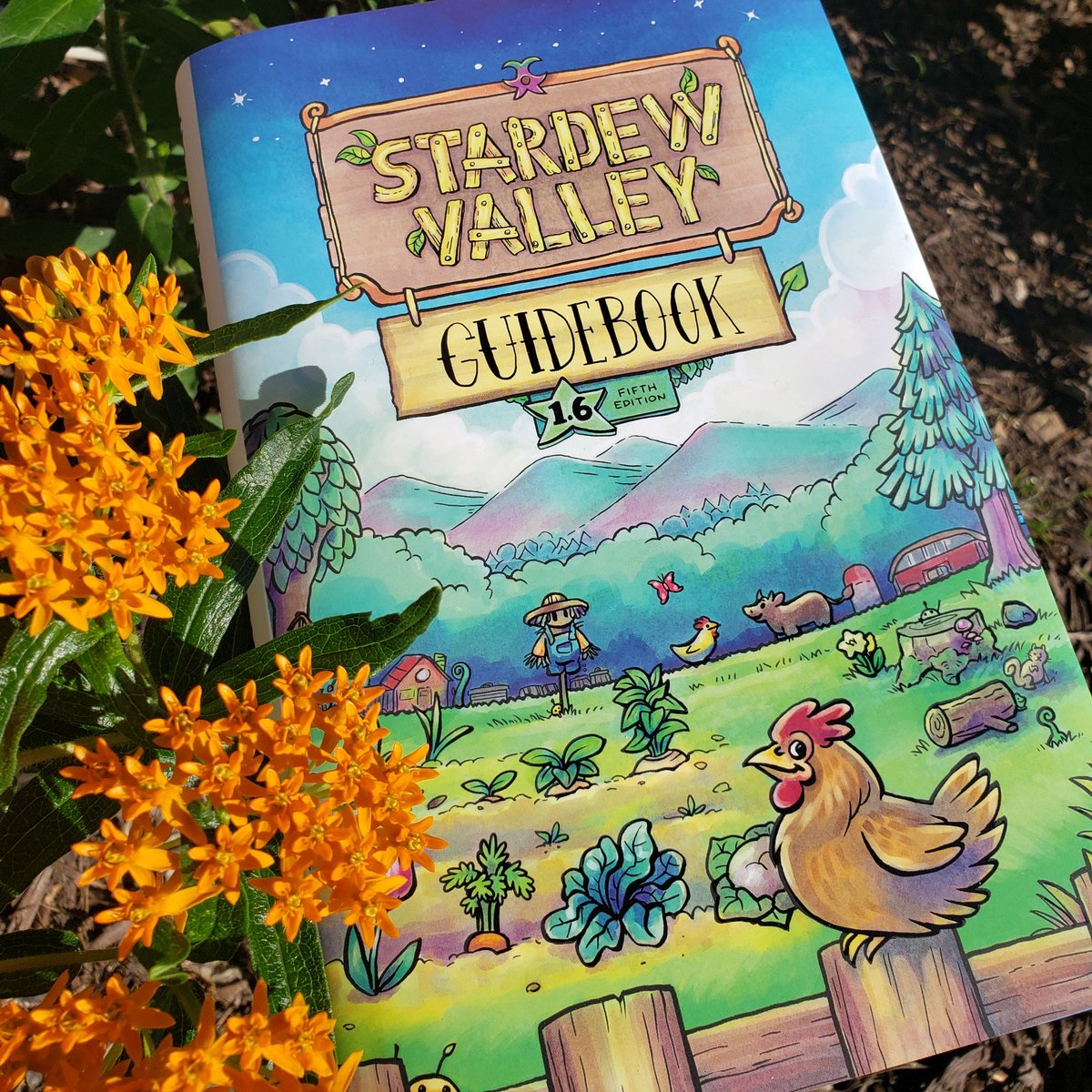 Kari Fry tweet media