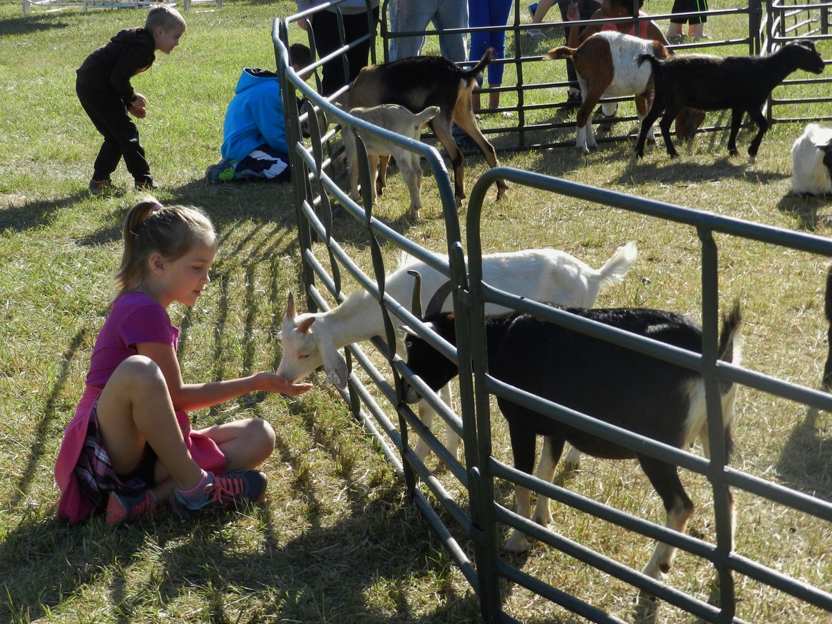 Funfest's tweet image. Uncle Sam Jam is proud to welcome the Blueberry Hill Petting Farm and Pony Rides to the festival this year brought to you by Meijer 

The Uncle Sam Jam will be held July 11-14 at Civic Center Park in Woodhaven, MI.

unclesamjamfest.com