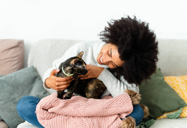 BellinghamAnim1's tweet image. If you could ask your pet one question and get an answer, what would it be? We'd love to hear your curious queries! #PetQuestions #TalkingPets