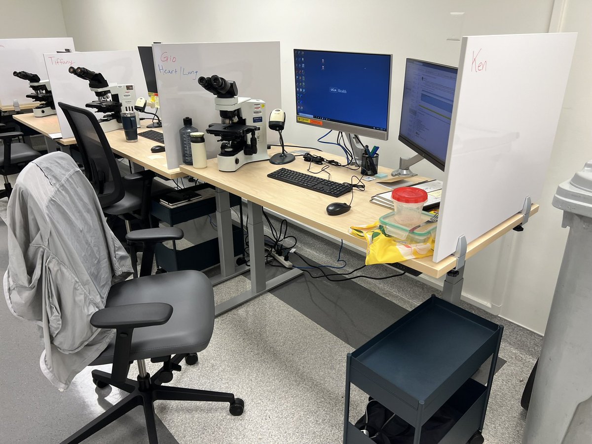 KZhuPath's tweet photo. My desk 🤩 first day on service https://t.co/rn4jzcBANd