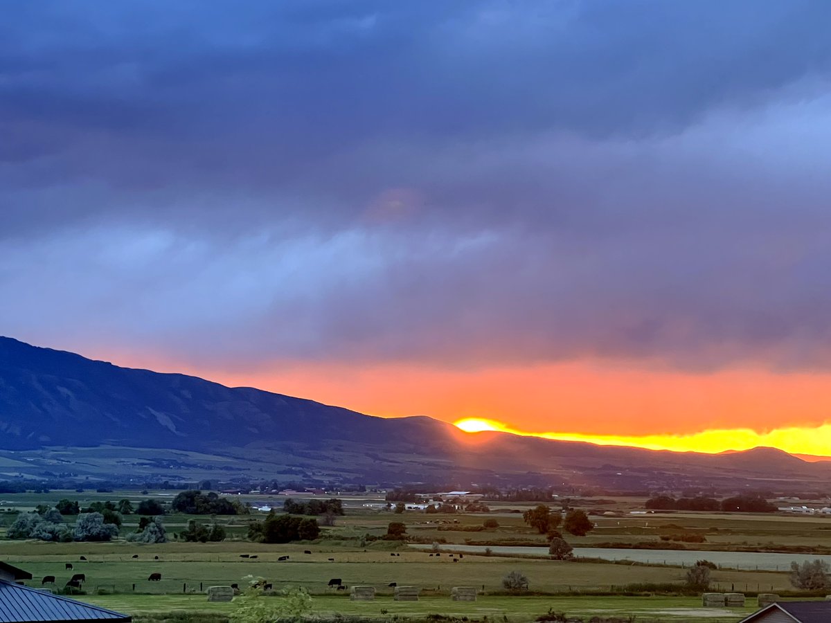 MsKimmyThompson's tweet image. Lights will guide you home
And ignite your bones . . . 
- @coldplay 

#sunset #utahsunset #hyrumutah #cachevalley #beautiful #songlyrics #coldplay #utah