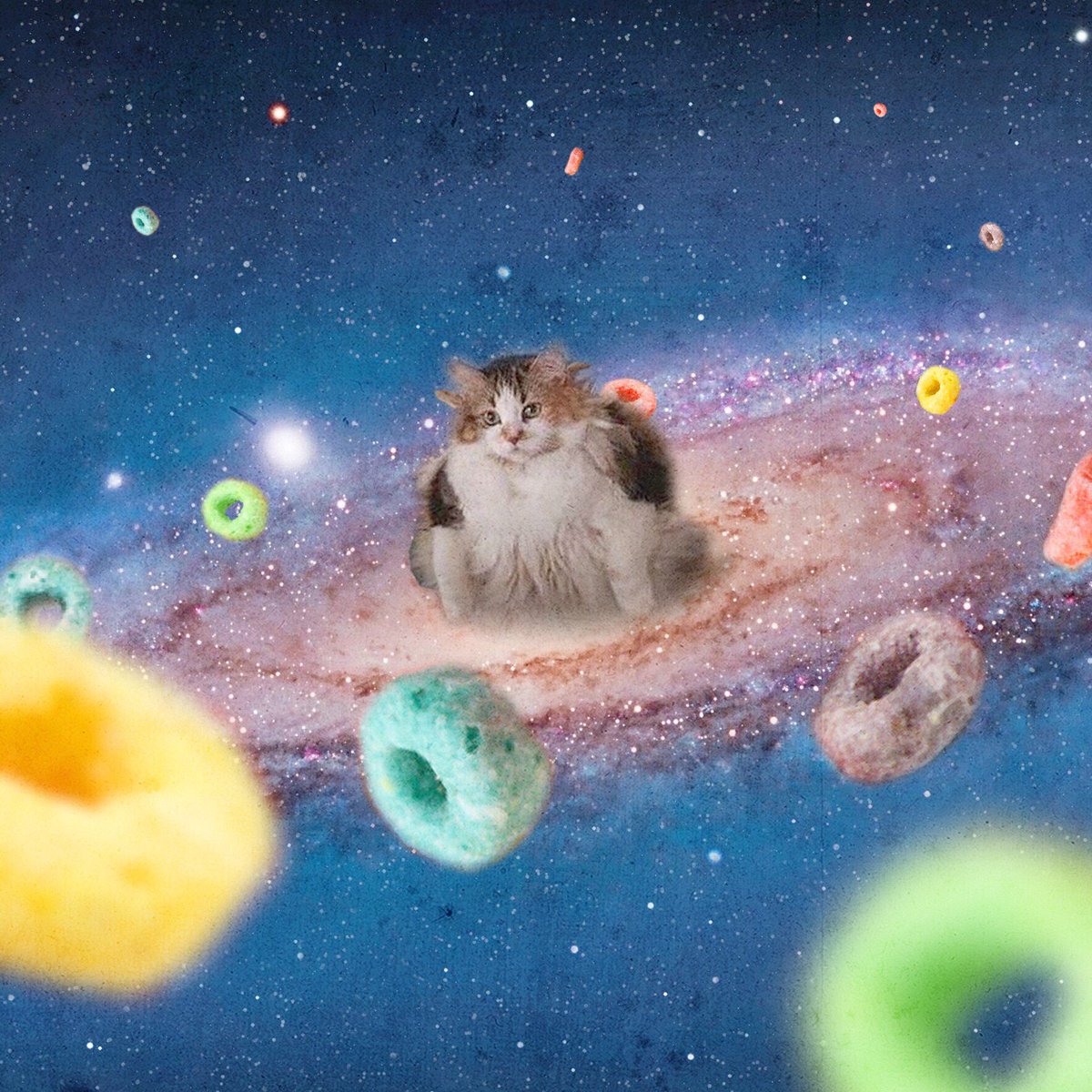 loops_sol's tweet photo. @IHunt100xGems I feel hungry for fruit loops 🐱🥹 https://t.co/djCjZOHFNp