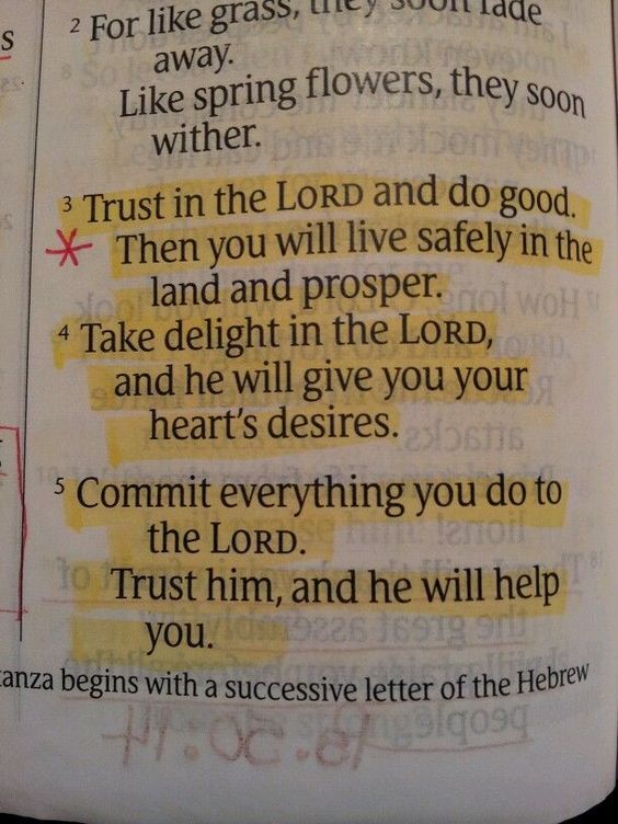 WalkwithGod7's tweet image. 