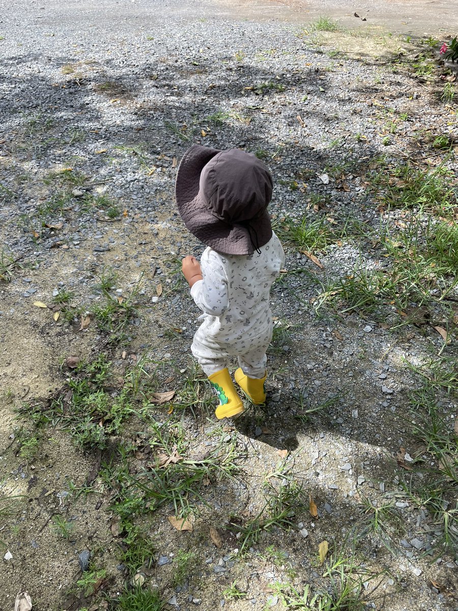 ต้นไม้ของเตนล์ 🌱 tweet media