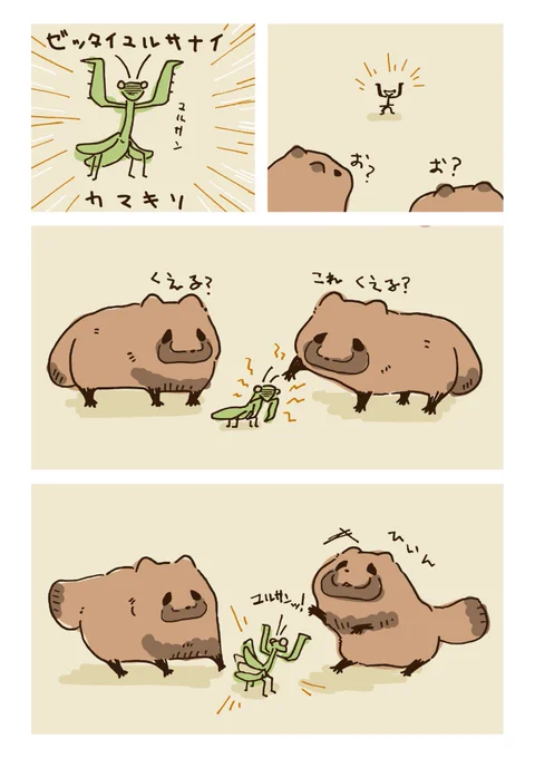 たぬきVS… (1/3) 