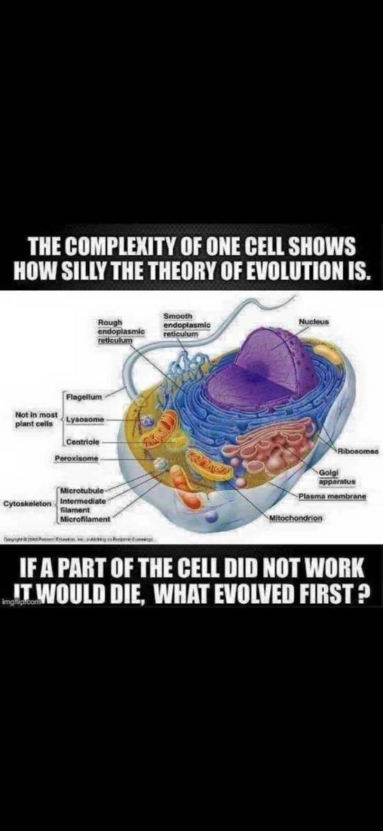 TrevorL415's tweet photo. GOD PROOFS : If any part of one cell was not working it would die. EACH COMPLEXITY OF ONE CELL HAD TO BE CREATED IN AN INSTANT. EACH IS SO CODEPENDENT ON THE OTHER IN ORDER TO WORK. The TRUTH!!! #GOD #GodProof #FlatEarth https://t.co/GDM7cX1pRc