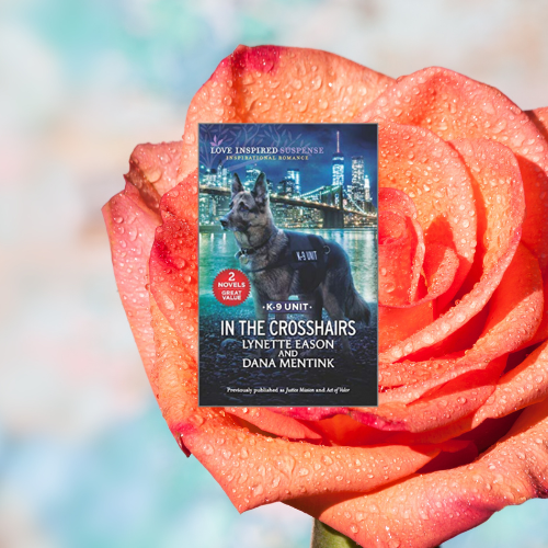 It's a FLASH giveaway! Two days only. The prize? One of 18 print copies of a backlist book, Into the Crosshairs. US/print only. Ready? Set? GO! rafflecopter.com/rafl/display/2…?
